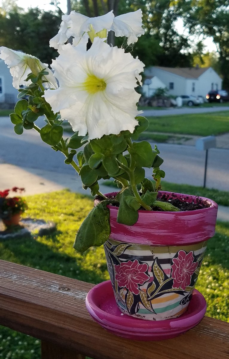 BellevueLibrary's tweet image. #ICYMI Fun summer garden project @BellevueLibrary! Next class will be String Art! #LibraryArtClass #Decoupage #MadeInTheLibrary #Nebraska