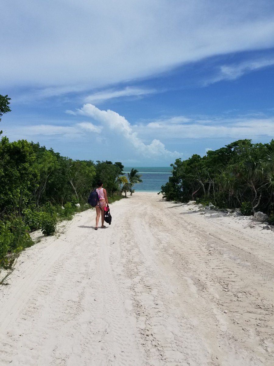 NATY_HER13's tweet photo. @theSamsungSide @TMobile #SamsungCameraDemo  some Bahamians  vacations #GS8 made them special https://t.co/86U0LLZj9V