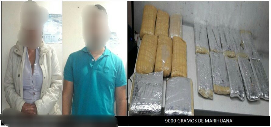 PoliciaEcuador's tweet photo. Dos ciudadanos aprehendidos con 9 Kg de marihuana en sector de la Kenedy #DistEEspejo. 18.000 dosis menos gracias a #AntinarcóticosDMQ https://t.co/lNLZPuoWbs