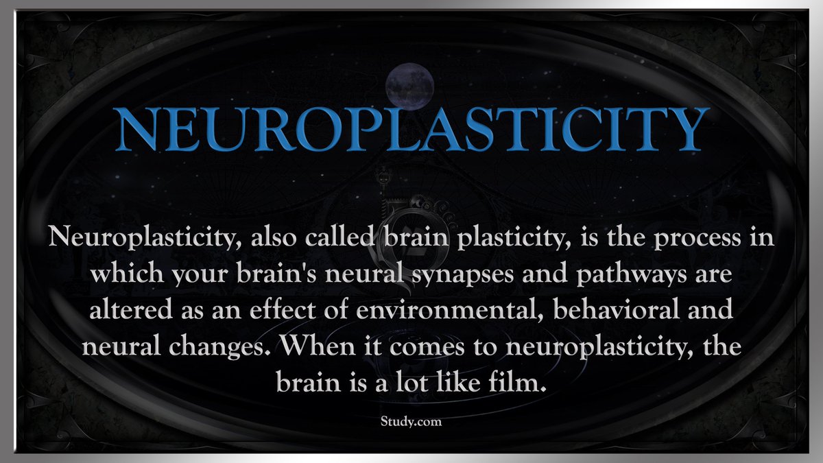 Rewire your brain.

orderofmerchants.com/self-governanc…
#brainfood #lifehack