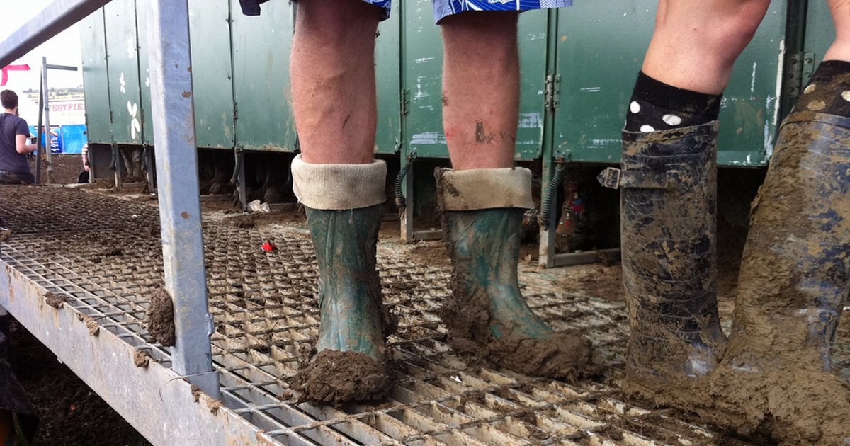 TheEpinal's tweet photo. These gross stories from Glastonbury will make you glad you didn’t get a ticket https://t.co/pUFa02eGLk https://t.co/fRmUxvva2A