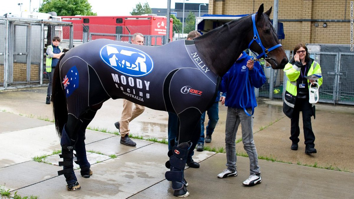 hidezaustralia's tweet photo. @francesire AUGMENTER LES PERFORMANCES DE VOS CHEVAUX GRÂCE À LA COMBINAISON DE COMPRESSION MUSCULAIRE HIDEZ
https://t.co/YYTQQyvKoK https://t.co/YagQJRth5w