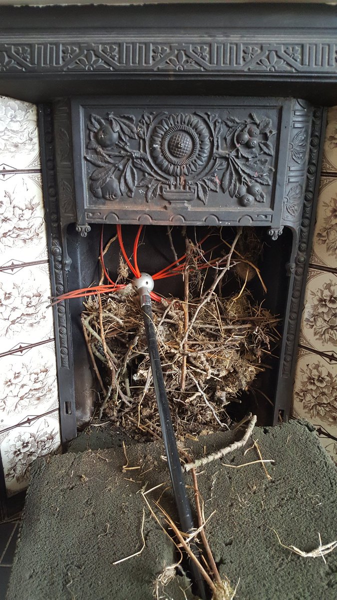 Chimney Sweeps NE tweet media