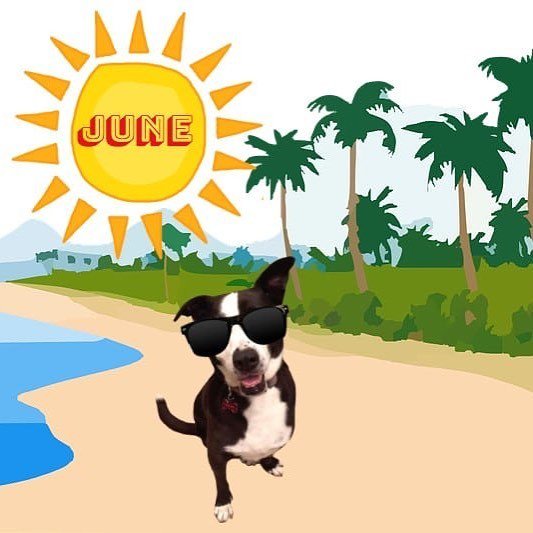 Elliott, your friendly Blogger Dogger here! I thought you might like to meet some of my friends from the animal wo… ift.tt/2tlxEH0