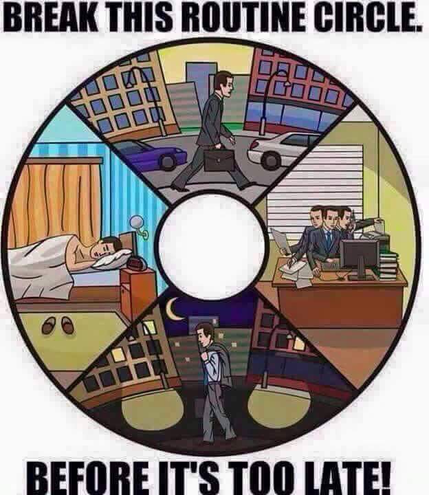 Ndiks17's tweet photo. #LTDWSomizi We need to break this cycle. We were not created to just work to afford a Polo , pay the bills and die. https://t.co/bH9MQsH3yN