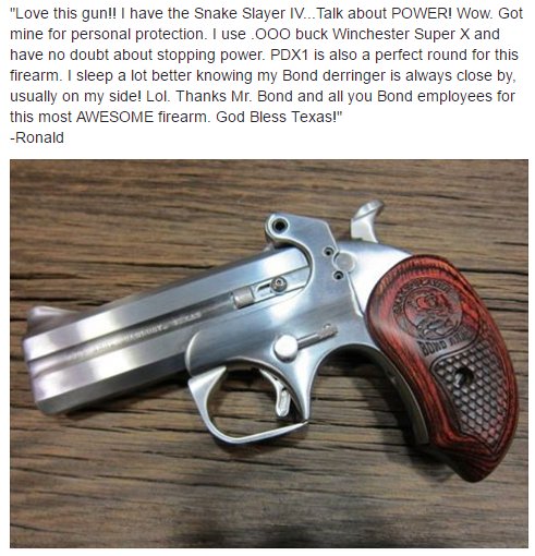 Bond Arms Inc tweet media