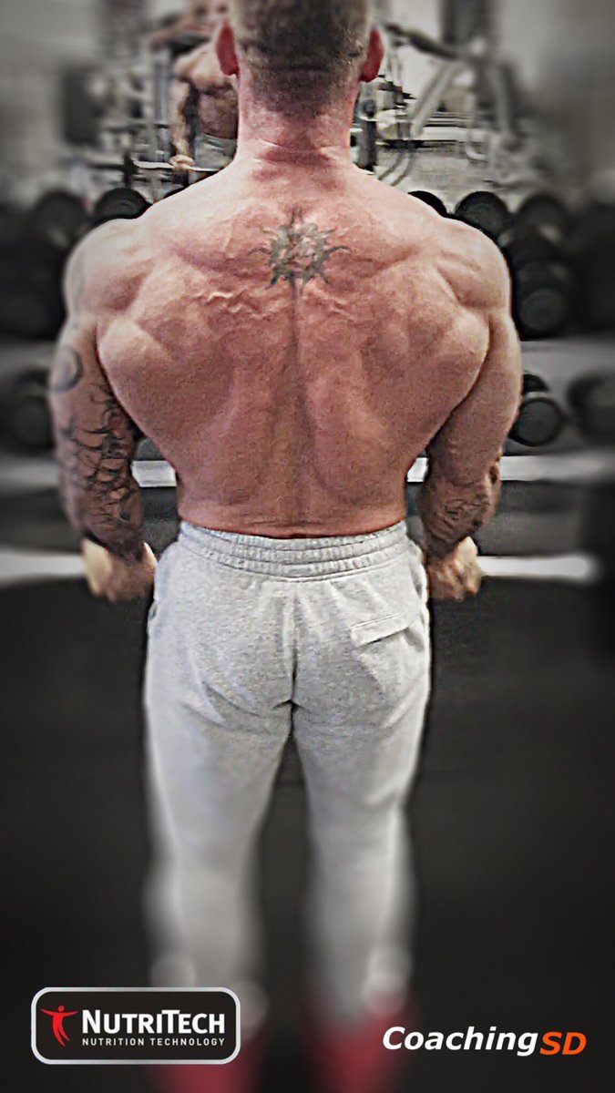 spiderseb's tweet photo. #training #ripped #ifbb #physique #protein #abs #aesthetics #sixpack #shredded #strong #staystrong #squat #fitness https://t.co/zdNVeR56zc