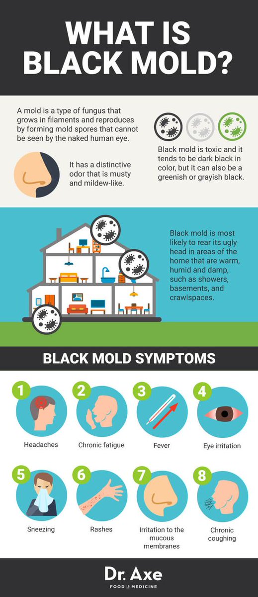firstrestore's tweet photo. What is black mold? - https://t.co/VjkWo0QkUN
https://t.co/v1vaV1spGc https://t.co/2uzSFlsqZA