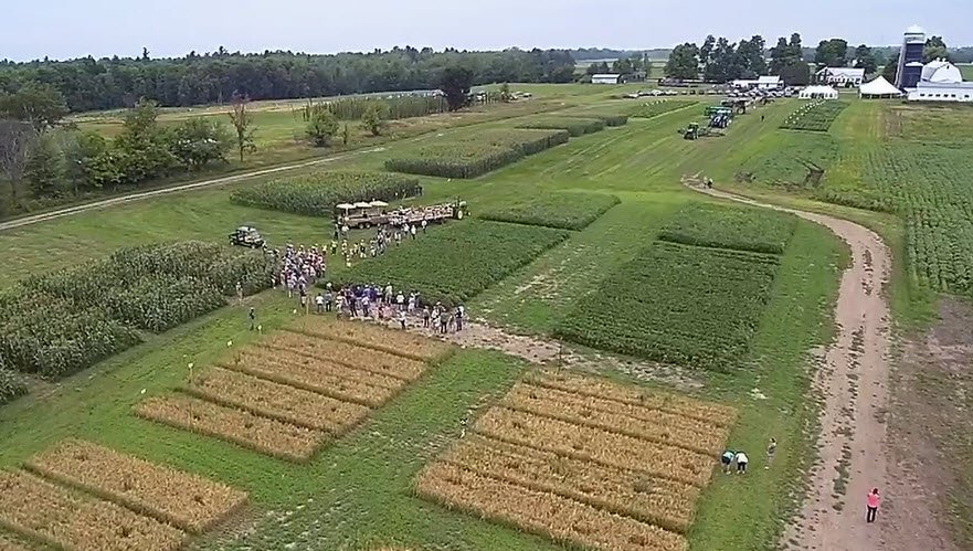 See cover crops, grains, beans, equip, milkweed, hemp, hops @ #UVM Annual Crops &amp; Soils Field Day coming up on 7/27: regonline.com/2017cropsfield…