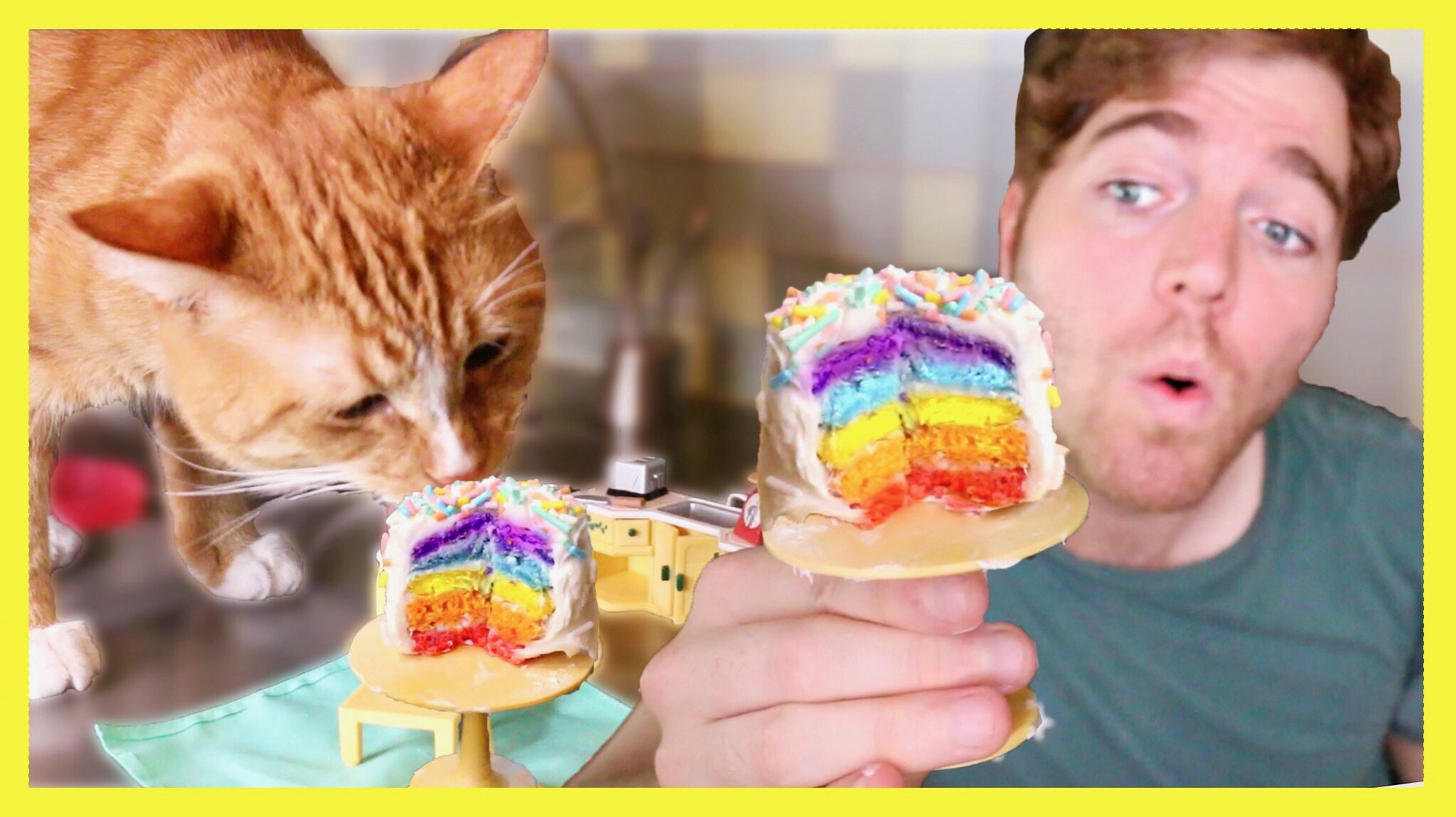 Shane Dawson on Twitter "NEW VID!! **MAKING A TINY CAKE FOR MY CAT