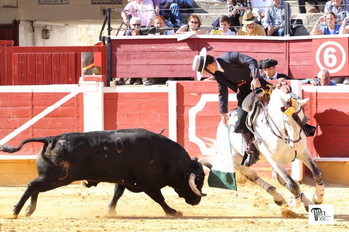 portaltaurino's tweet photo. Soria toros Passanha/LuisTerrón @Andy_Cartagena palmas/silencio @infoleonardohdz 2orejas/2orejas @LeaVicens silencio/silencio 📷@campobravosl https://t.co/JZniviLc4r