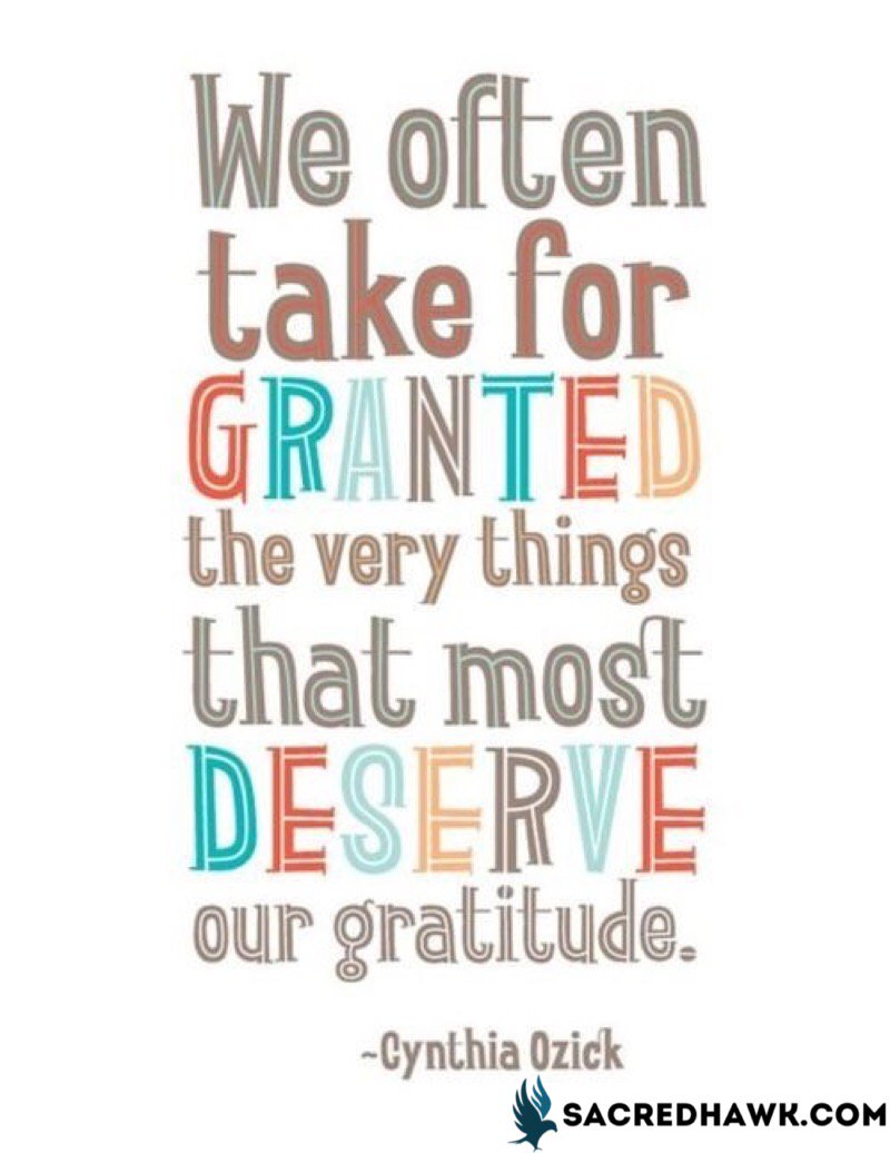 SacredHawks's tweet photo. We often take for granted the very things that most deserve our gratitude. https://t.co/OUE5japcip #SacredHawk #EnergyHealing #RobynLev https://t.co/2Q87TmB62k