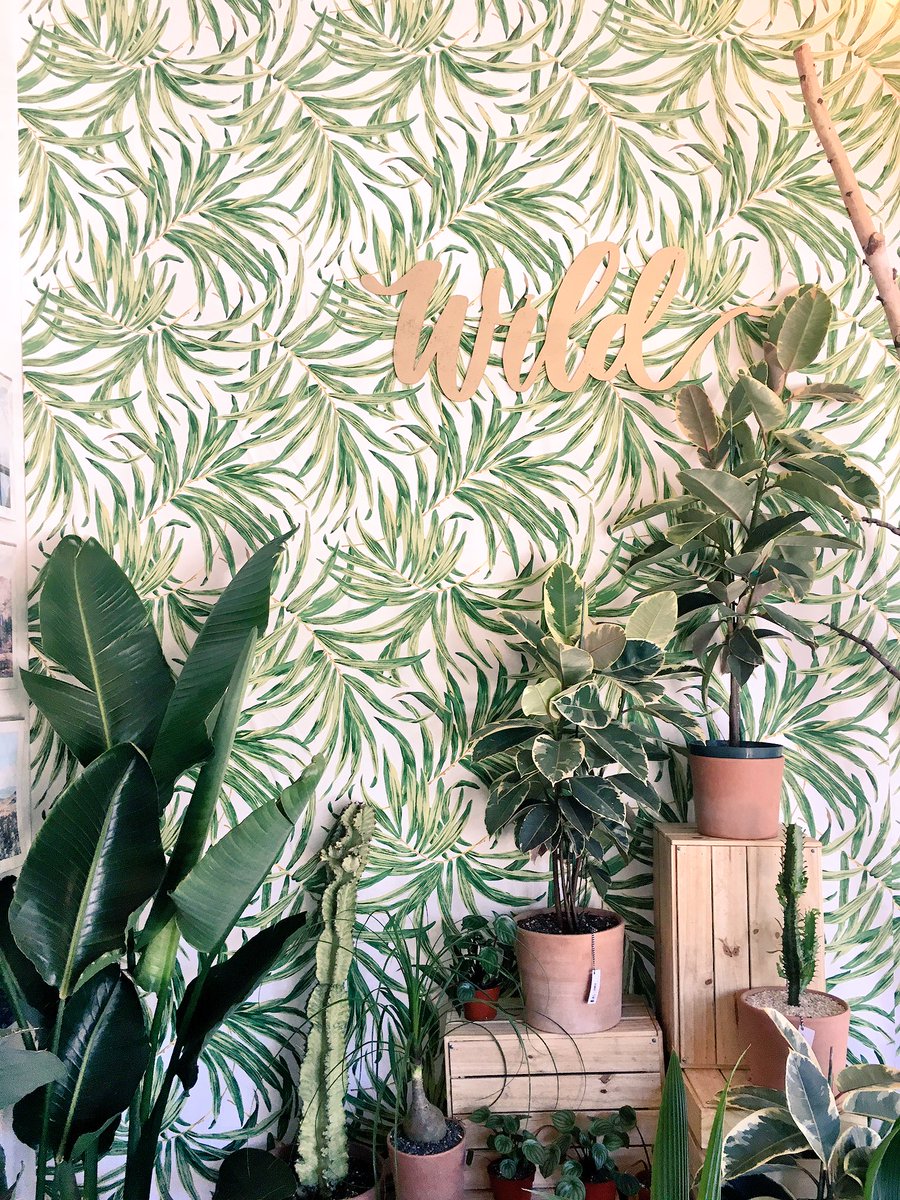 WildFlora tweet media