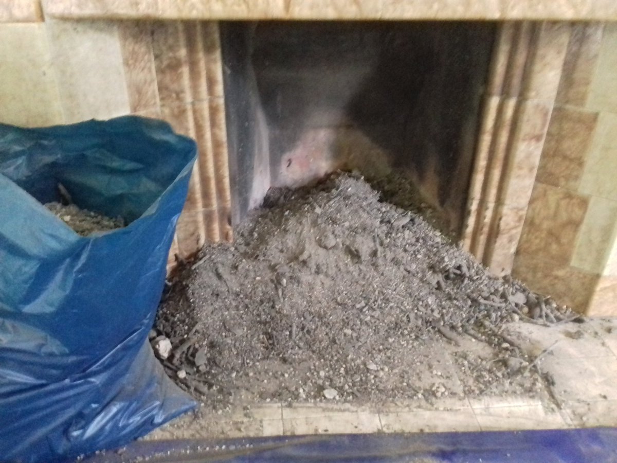 PPSchimney's tweet photo. Pps chimney sweep. #birdnestremoval #soot #hardwork #sootyhands #birdcowl #pest #chimneysweepWales https://t.co/Of1dc5VbRf