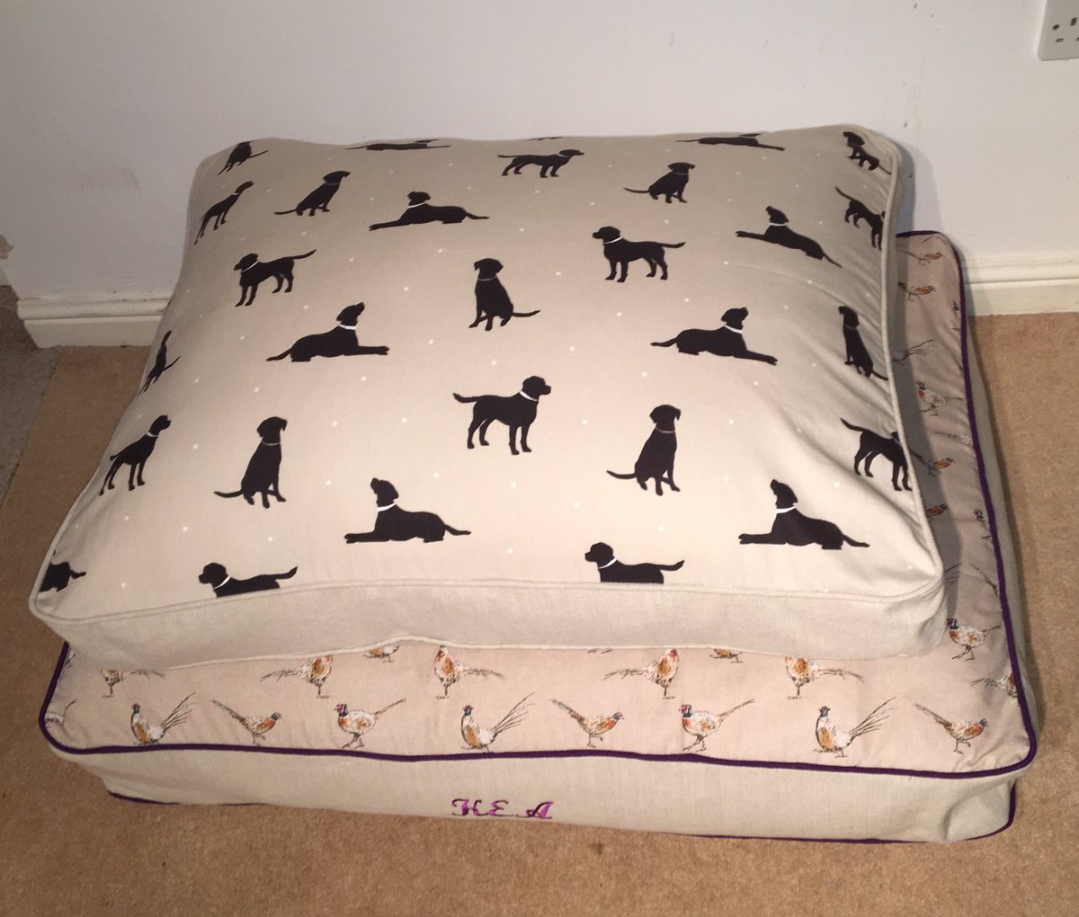 Emma Elliott tweet media