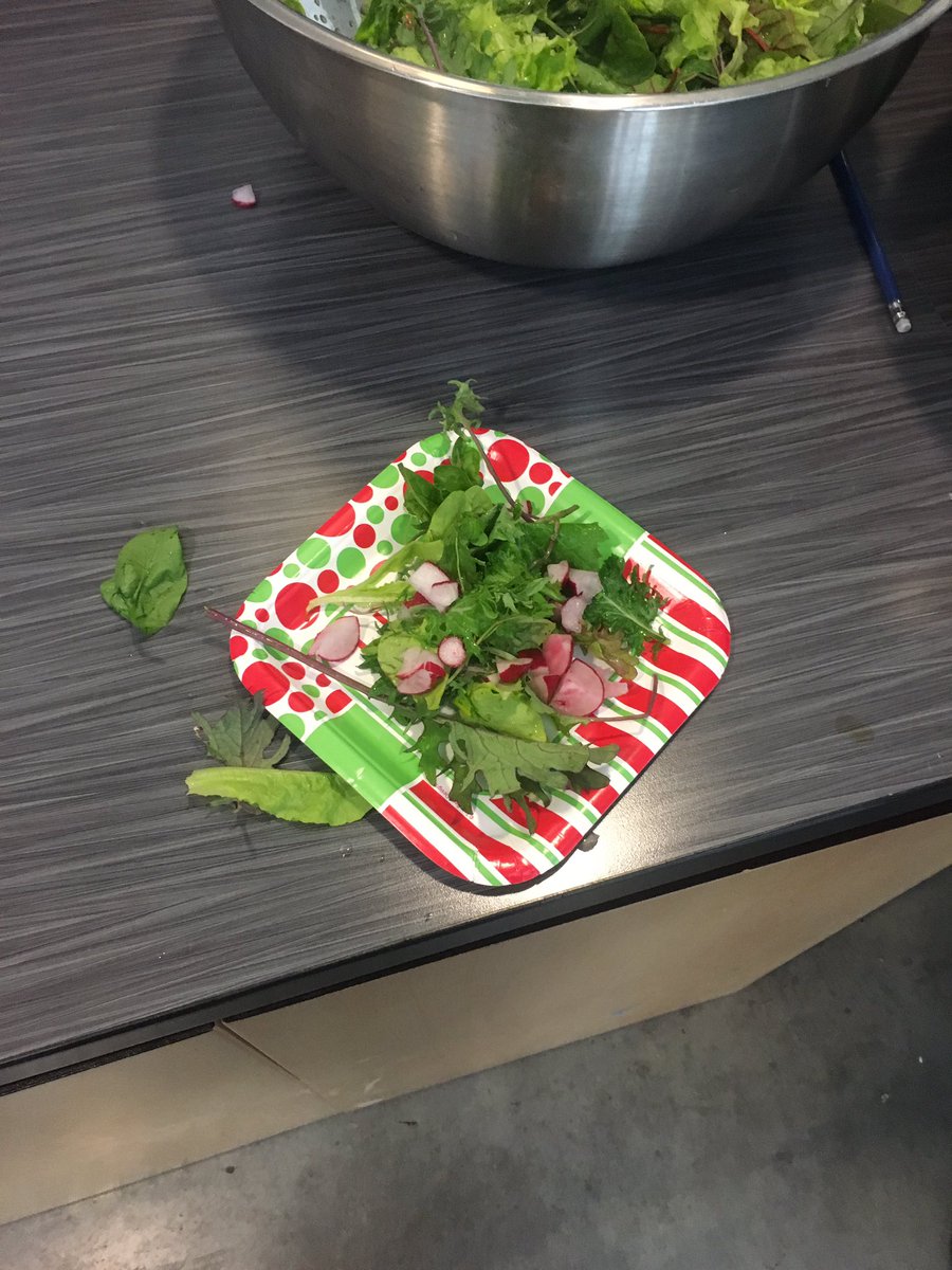 DanielMar785's tweet photo. Pulled up the classroom garden today with students from @43EagleMountain great learning opportunity and salad!#Experiential #outdoorlearning https://t.co/2CqZtzlB2j