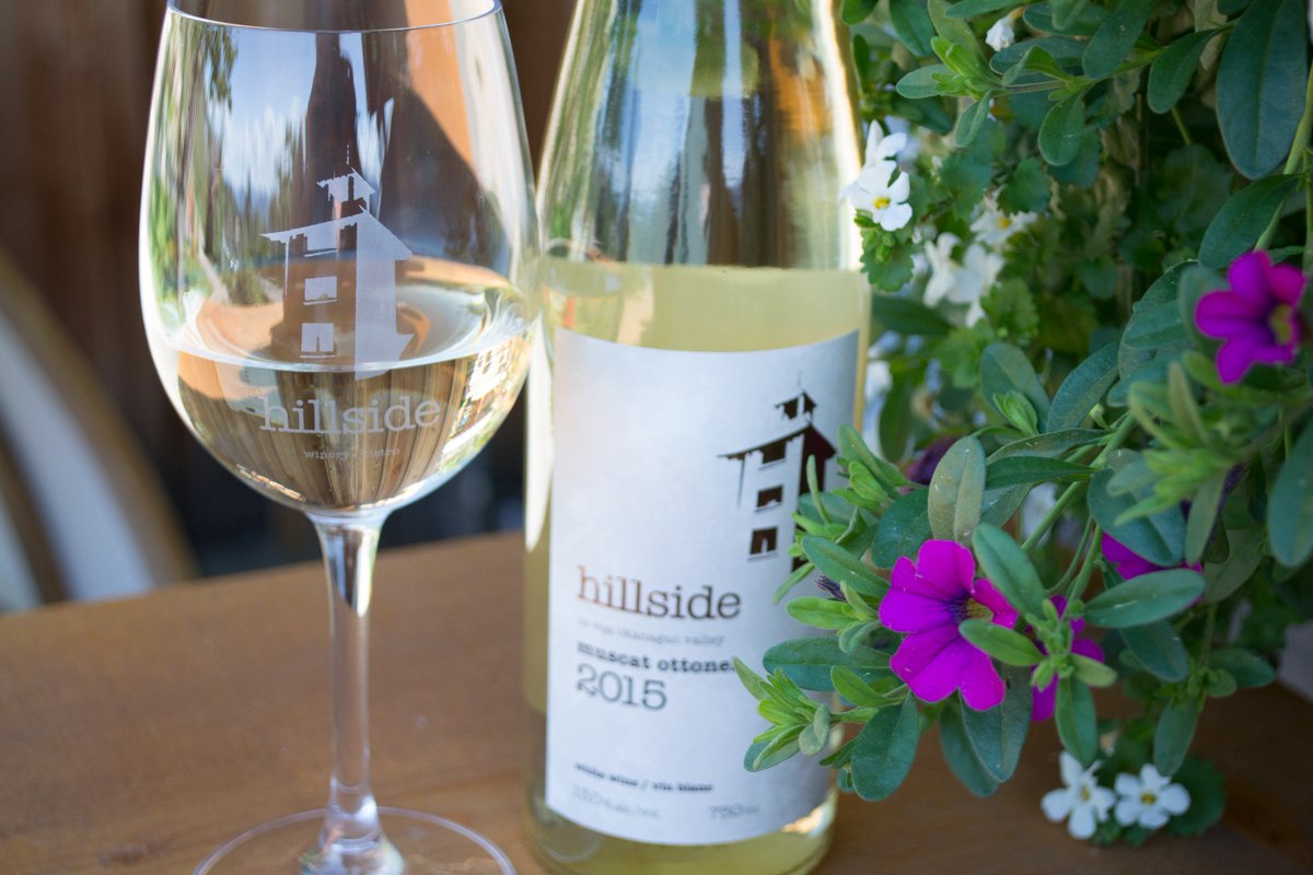 hillsidewines's tweet photo. #winewednesday #muscatlove #hillsized #locavin #bcwine #muscatottonel #winelovers @winekath @naramatawines https://t.co/Yk0iY4sPvq