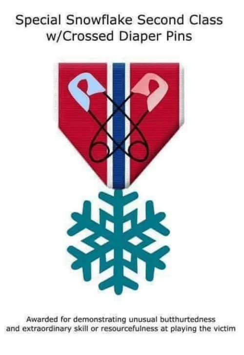 DustyHawk's tweet photo. @realDonaldTrump @nytimes I have a medal for you https://t.co/9spmvIUzVF