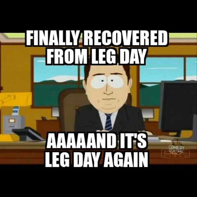 AuthorityApparl's tweet photo. ππ π #Legday #PimpLimp #GymStruggles #WalkitOff #UkFitFam #Fitness #GymAddict #Motivation #TrainDirty https://t.co/yCyumMpsRc