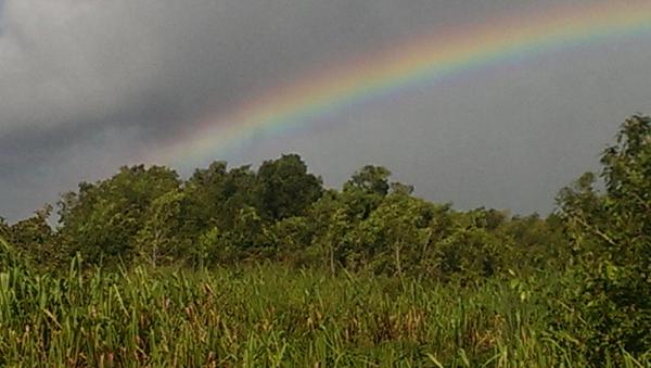 Follow808News's tweet photo. #TweetsofHawaii via @RealChefShannon https://t.co/wwERzovwsX