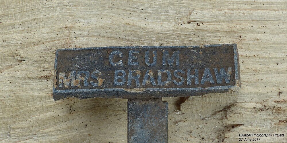 M_OgleGardener's tweet photo. We've found nearly 200 of these old plant labels in the garden since we started the project. Always a joy to uncover one from the garden. https://t.co/CAz9CzrGuv