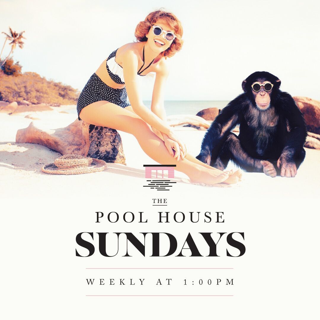 poolhousesd's tweet photo. #PoolHouseSundays continues this holiday weekend on the rooftop of #PendrySanDiego! Click the link in our bio to get on the guest list. https://t.co/YMCy1XLa33