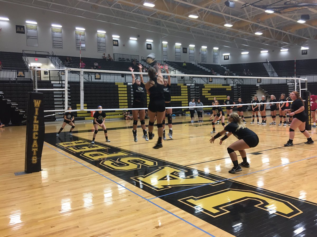 LoogooteeVball tweet picture