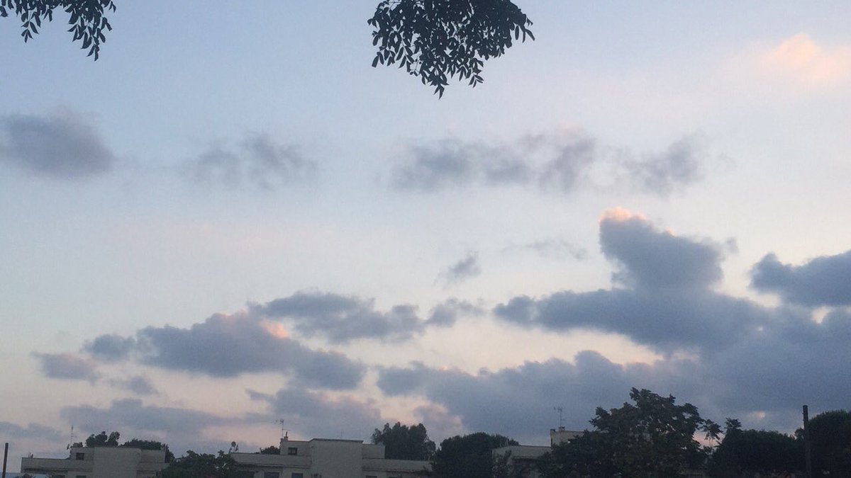 Priscyradames's tweet photo. Los pequeños momentos como estos (un atardecer) que no apreciamos, son los que luego echamos de menos.😻 https://t.co/EXmpwx52OM