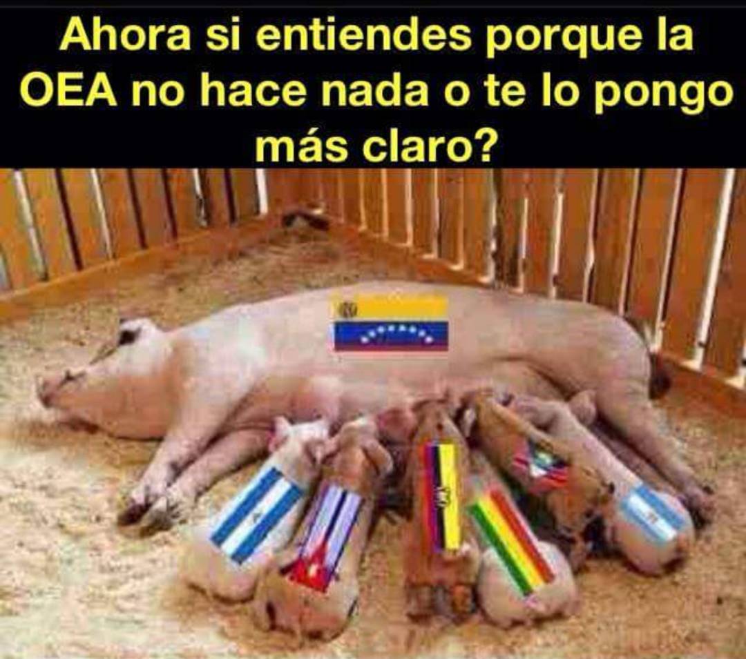 GenPenaloza's tweet photo. https://t.co/RwyQ4KLA3X