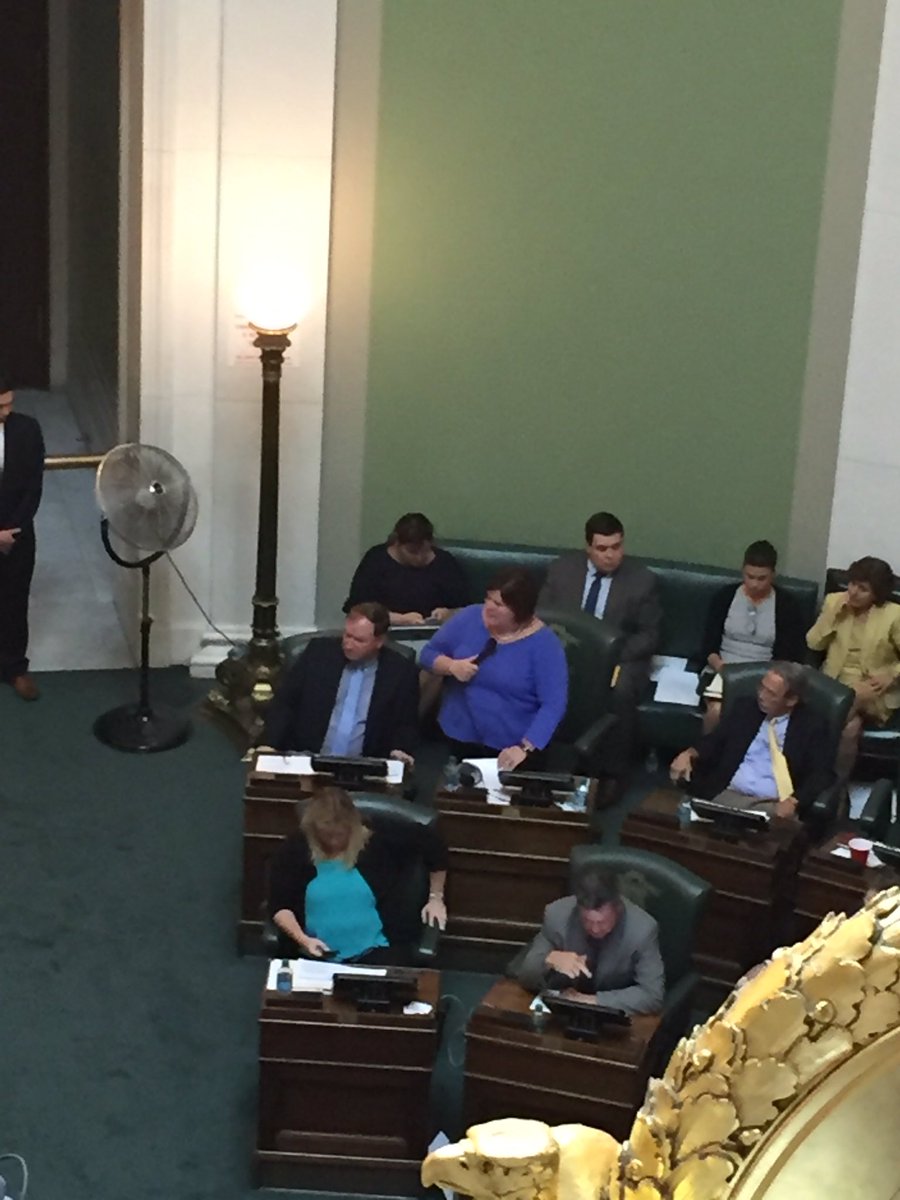 ricadv's tweet photo. Senator MaryEllen Goodwin introducing the Earned Sick and Safe Days bill for a vote on the Senate floor right now! https://t.co/430RPkwGuh
