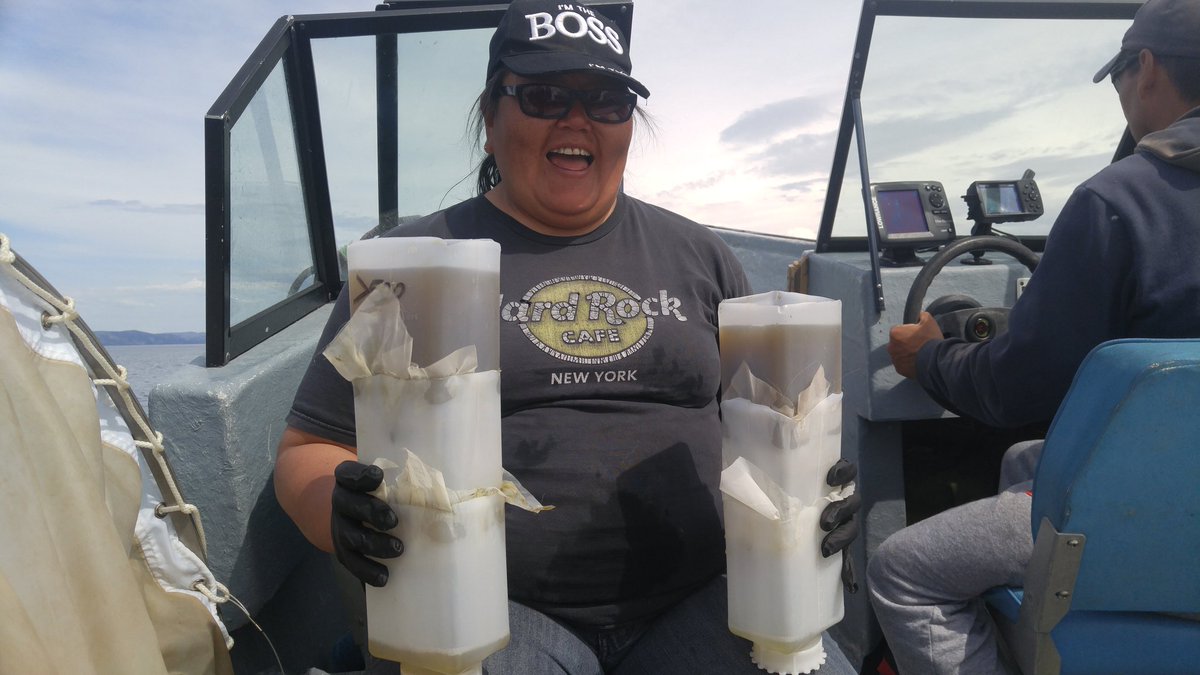 JanekirkHg's tweet photo. Sometimes you just got too much plankton...  #NCP #ECCC #plankton #contaminants #lakemelville https://t.co/6WeA5E35UW