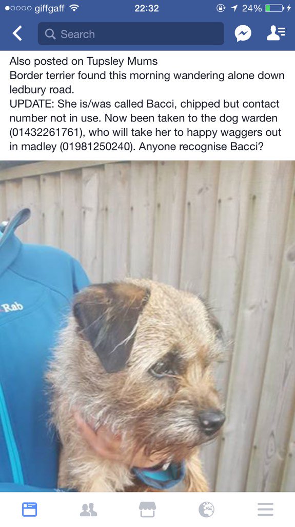TweetsofBowser's tweet image. @TweetsofBowser: #BTPosse #lostdog any pals looking for this girl?