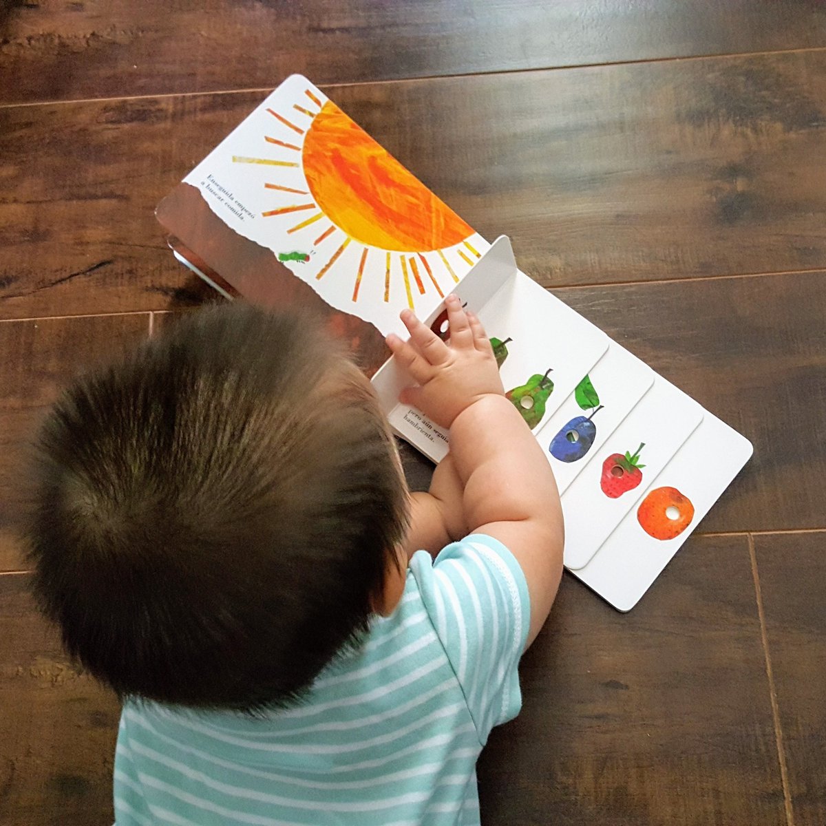 TejanaTwitiendo's tweet photo. Sweet Pea is practicing early literacy skills! @AustinPublicLib #SummerReadingProgram #PrizeBook #BabiesWhoRead https://t.co/sQz2v0DjPh