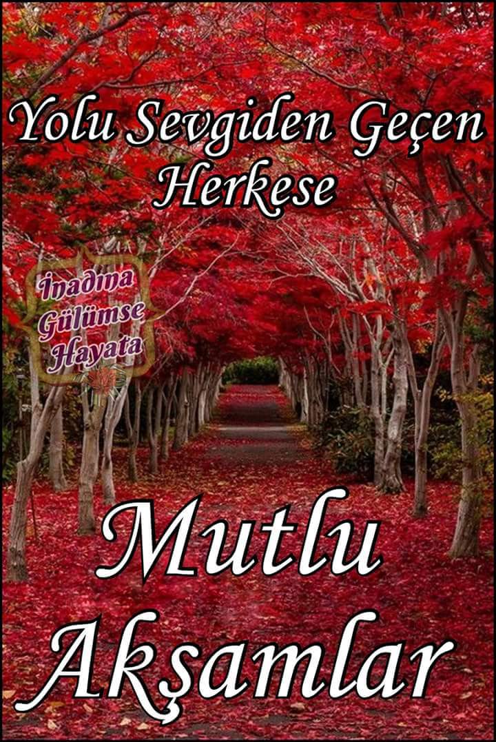 sait Tombulefe (@saittombulefe) on Twitter photo 