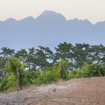 Photo by Quintessential Wines (@QuintWines)