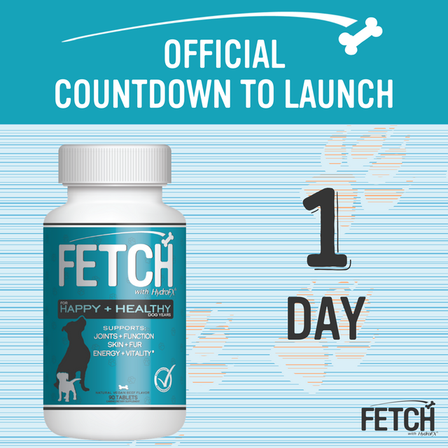 gofetchfordogs's tweet photo. It’s ALMOST HERE! FETCH launches tomorrow! Raise your paw if you are in. 🐾 #gofetchfordogs #dogsoftwitter https://t.co/1wYwUQHise