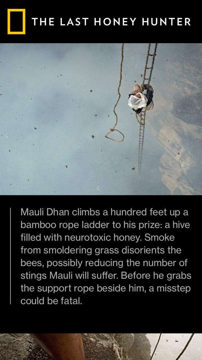 "The Last Honey Hunter" from the July 2017 National Geographic bit.ly/2qE7pHJ - glad it's the last one!!