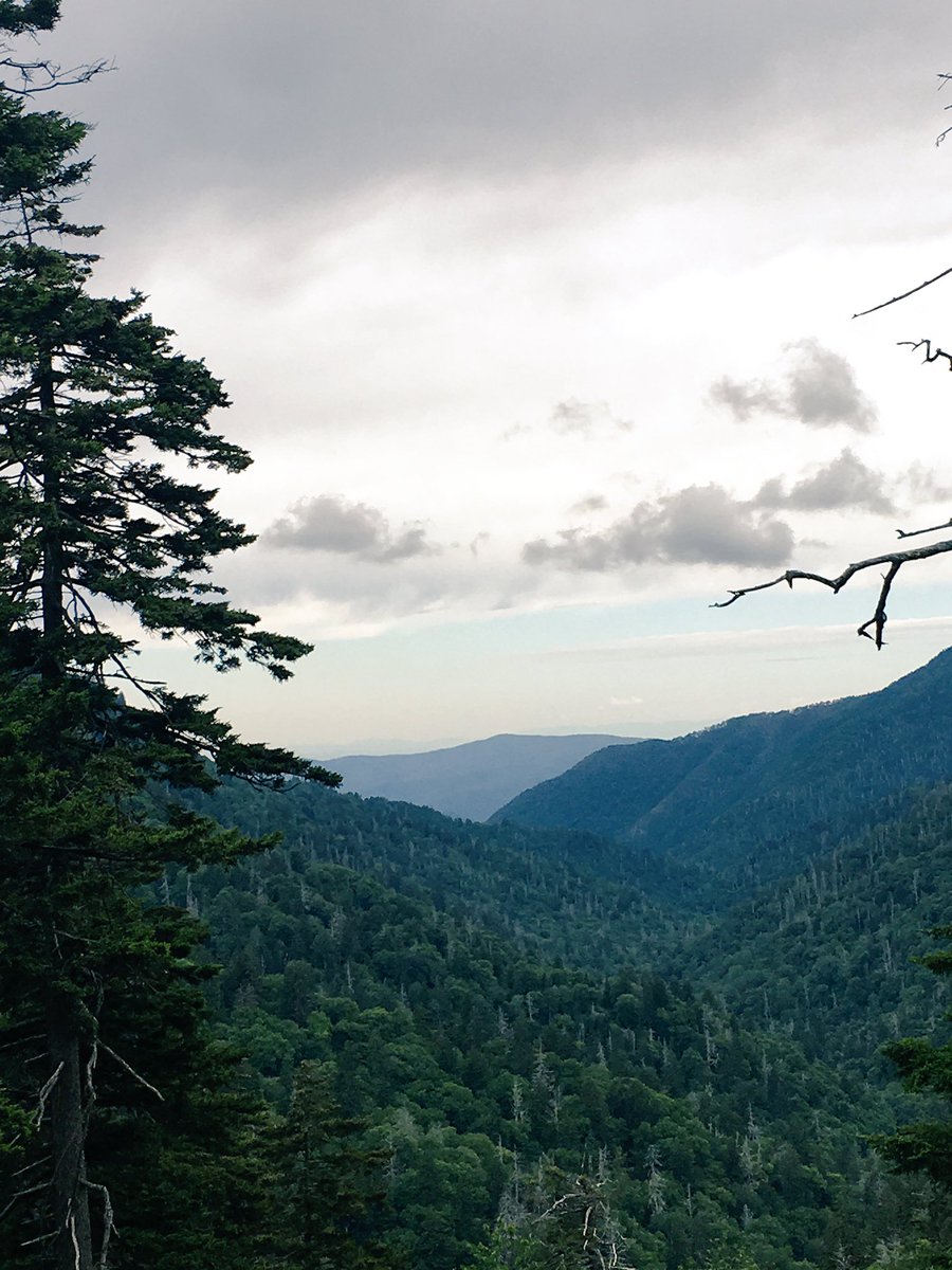 Almost home,had a wonderful time w family at Smokey Mountains, the vistas &amp; pure air were a great way to recharge batteries w loved ones 💕