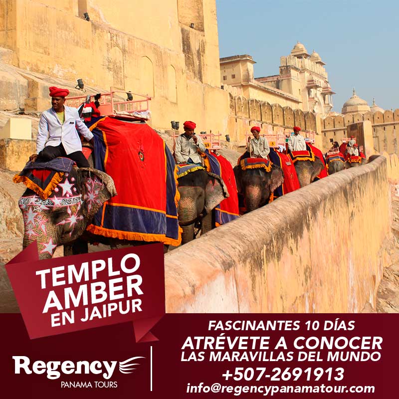 ViajesRegency's tweet photo. El viaje en El Fuerte de Amer en elefante es una experiencia fantástica. Con #ViajesRegency viaja a la India desde $1,885.00 por persona. https://t.co/1fSKZEcBzp