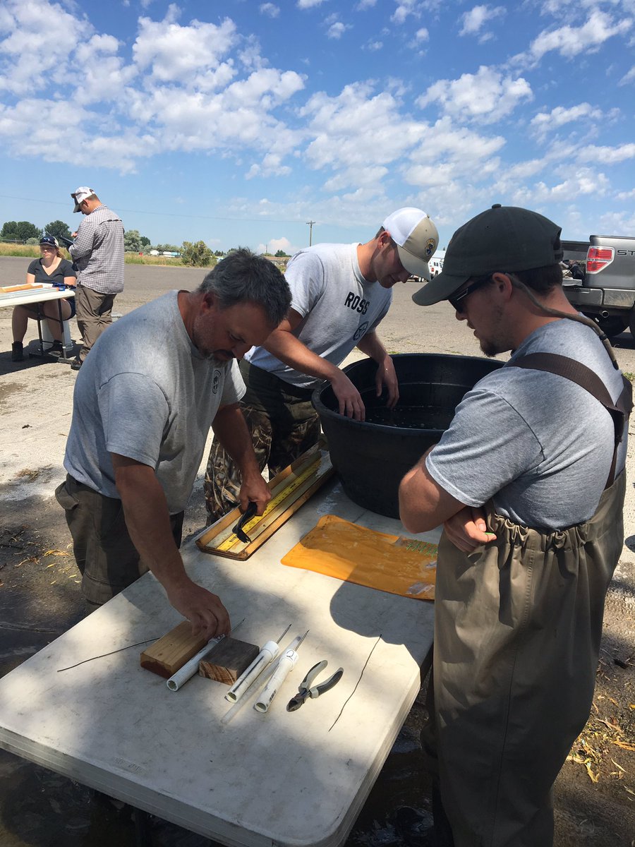 Dart tagging channel catfish planted in Milner Reservoir today?