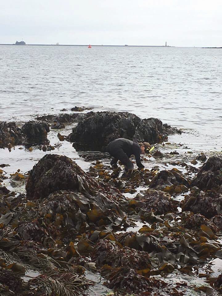 alec_delafuente's tweet image. Sometimes all you need is a little kelp #kelpman