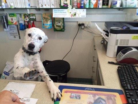 ma’am, I’m doing everything I can