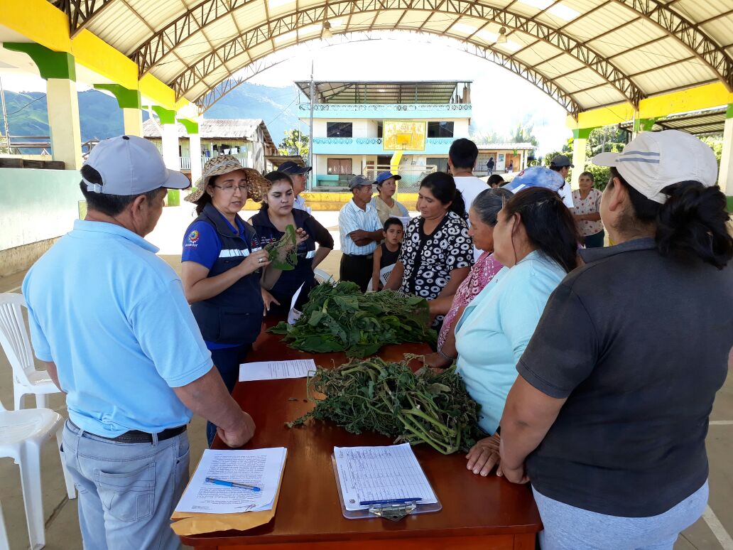 Pato_Benalcazar's tweet photo. #InfoMAG| Productores aprenden a elabora insecticidas orgánicos a base de plantas con principios plaguicida, sector #Tapala #Palanda https://t.co/QV0dkac6mT