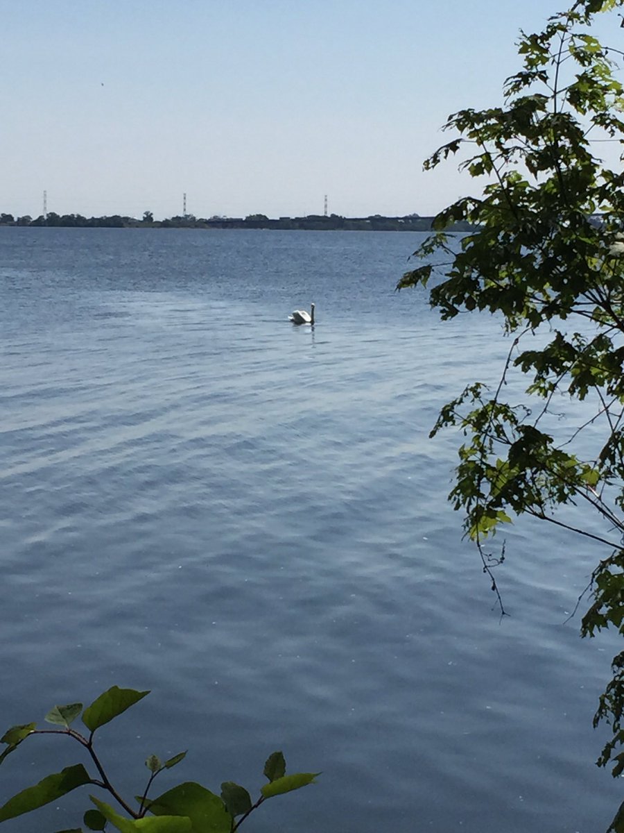DanahylTech's tweet photo. Paradise? La Salle Park in Burlington ON. Great day of friendship and celebration #lovemyhaltonschool #BurlON https://t.co/vQ8CCW9y5Y