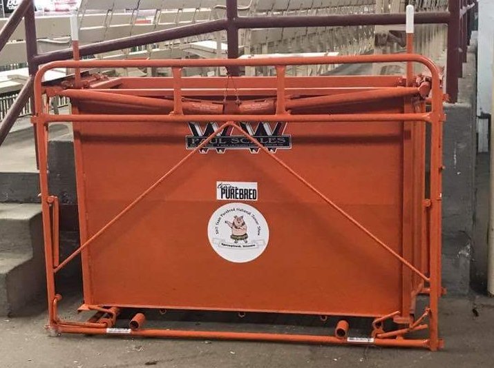 TeamPurebred's tweet image. Selling $10 chances on this custom set of scales! Contact @hopechristine85 for tickets! Drawing FRIDAY! #NJS17