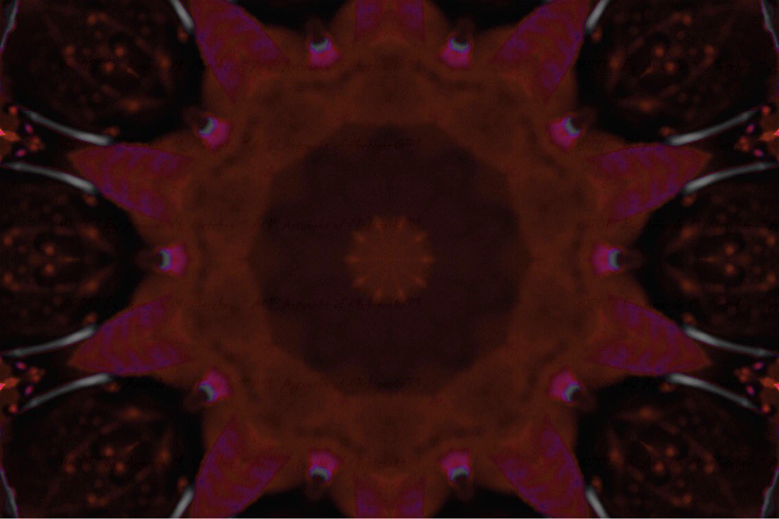 AMPartworksofMI's tweet photo. #HappyHumpday 👽#flowers #brightcolors #Art #Photography #Creations #Mandalas #AMPmiUP #Muskegon #Goodvibes #FunkyArt #WeirdIsGood #NotFrom🌎 https://t.co/YGD1fQFHJh