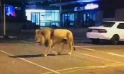 MrEdgarGonzalez's tweet photo. @BIGNELS84 @eulogy__ @tanqueta @trafficMcbo Zona norte con peligro de León #Maracaibo #Venezuela https://t.co/EjU1W4GmTU