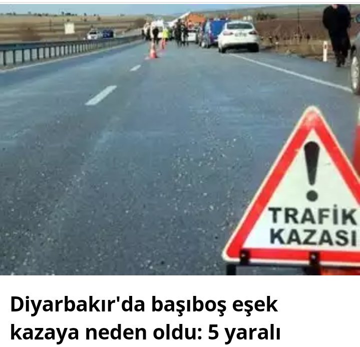 Başıboş eşek 5 yaralı ya
neden oldu,
Bir de İstabul'a yürüyen
sürü var.Başıboş değiller
ama.En azından başındaki eşek kontrollü😅😆