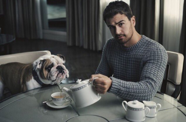 MiiTea_au's tweet photo. What a Tea buddy 👌🐶💕 #dog #mansbestfriend #cute https://t.co/YydPNBiCHY