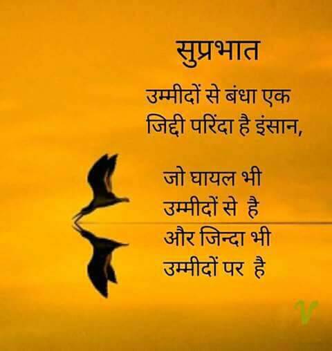 NageshG65114709's tweet photo. https://t.co/iaMxsU8O9q